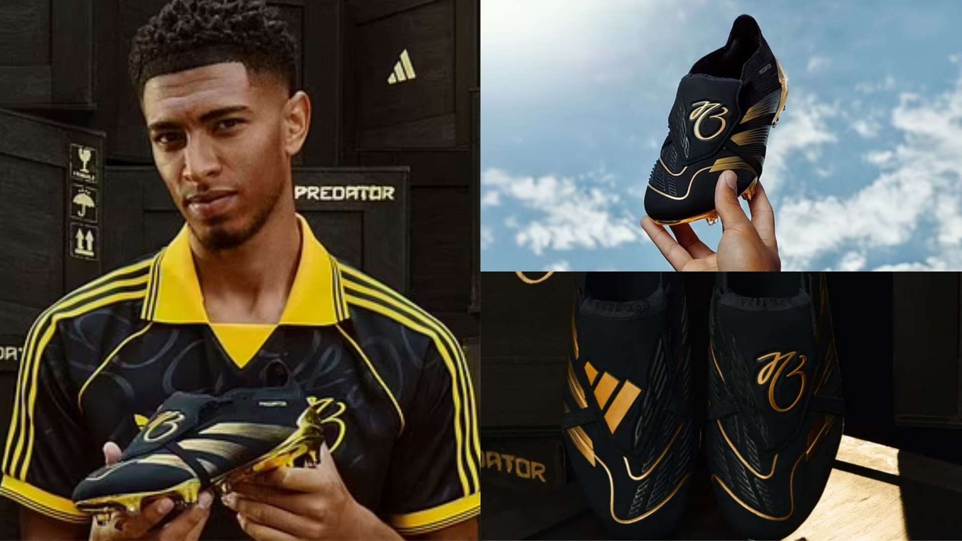 也是另一大 也是另一大