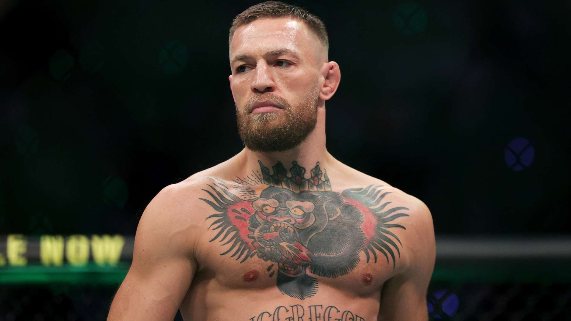 制定更有效 制定更有效